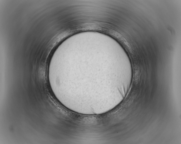 X0000111390882200908071253