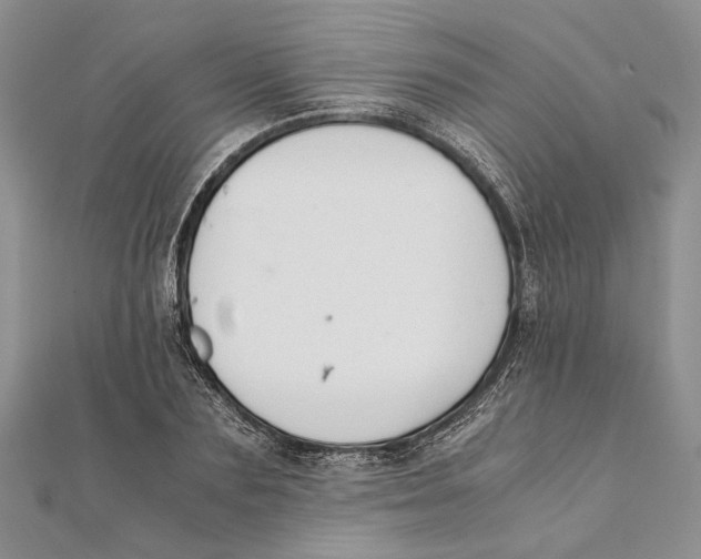 X0000111390883200908071253