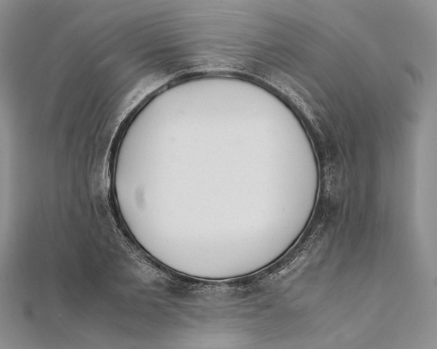 X0000111390885200908071253
