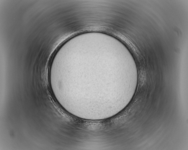 X0000111390886200908071253