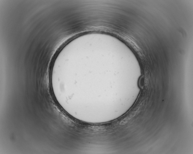 X0000111390888200908071253