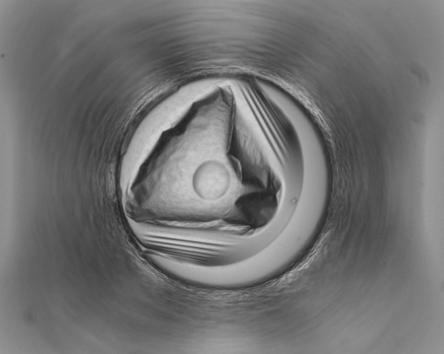 X0000111390889200908071253