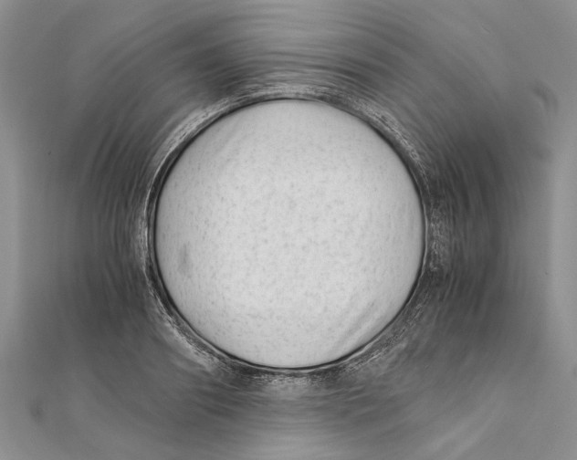 X0000111390890200908071253