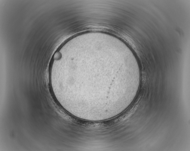 X0000111390891200908071253