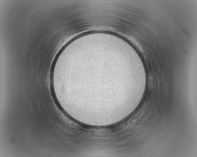X0000111390895200908071253