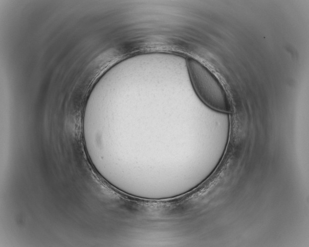 X0000111390897200908071253