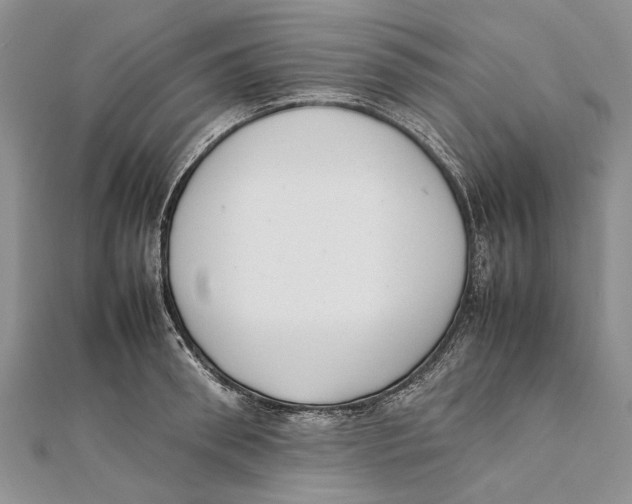 X0000111390898200908071253