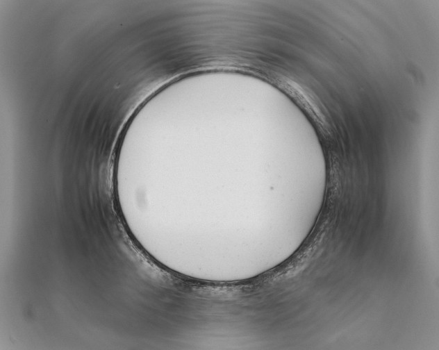 X0000111390900200908071253