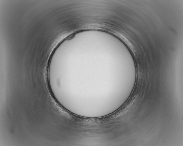 X0000111390901200908071253