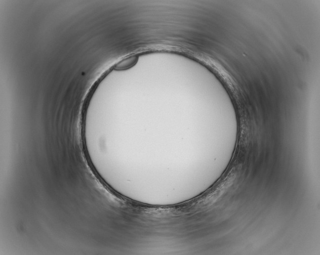 X0000111390902200908071253