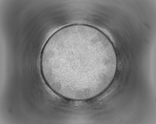 X0000111390903200908071253