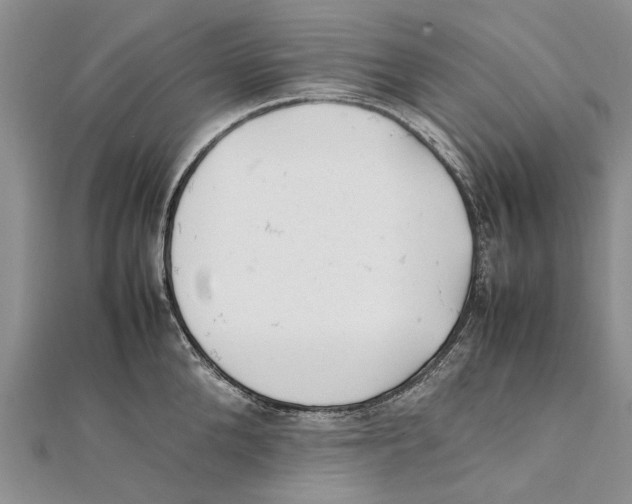 X0000111390904200908071253