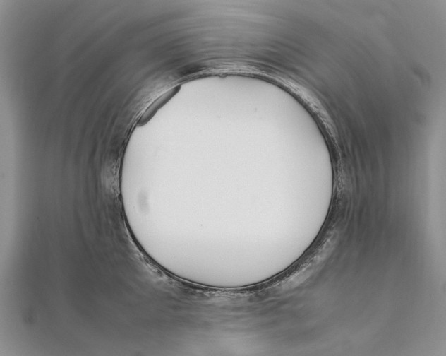 X0000111390905200908071253
