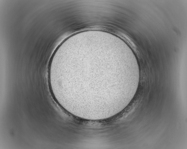 X0000111390907200908071253