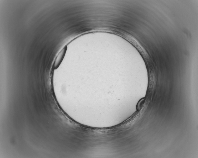X0000111390908200908071253