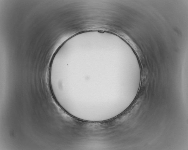 X0000111390909200908071253