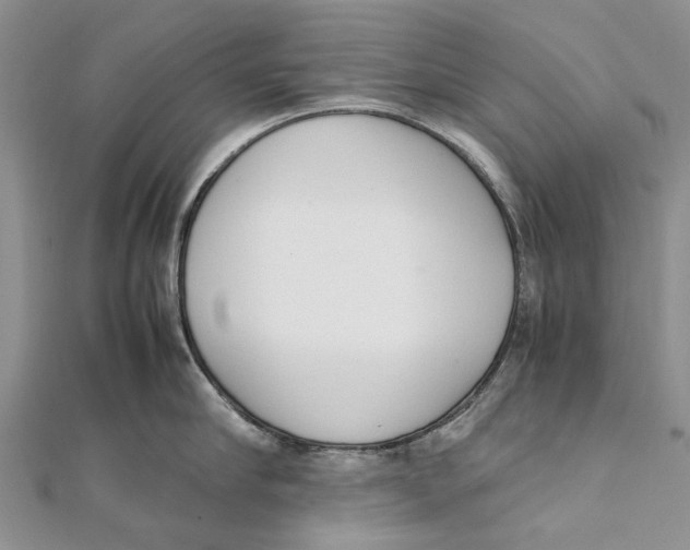 X0000111390910200908071253