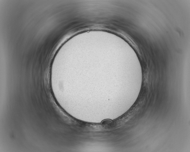 X0000111390911200908071253