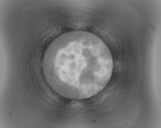 X0000111390913200908071252
