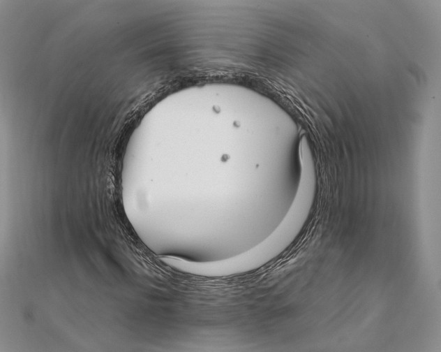 X0000111390916200908071252