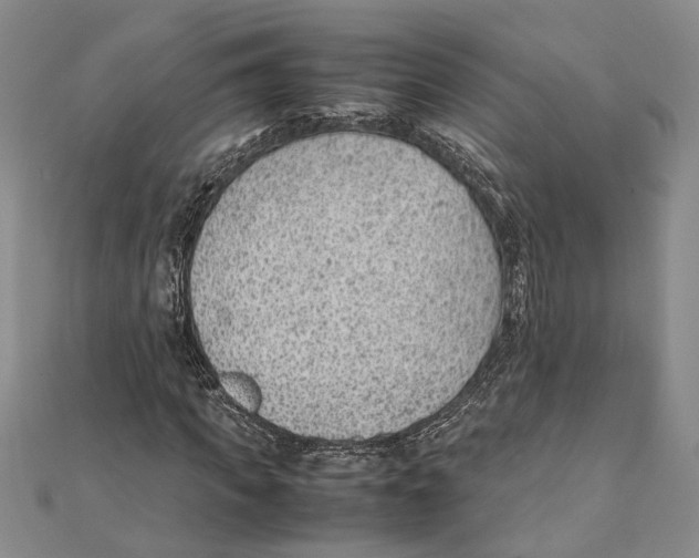 X0000111390917200908071252