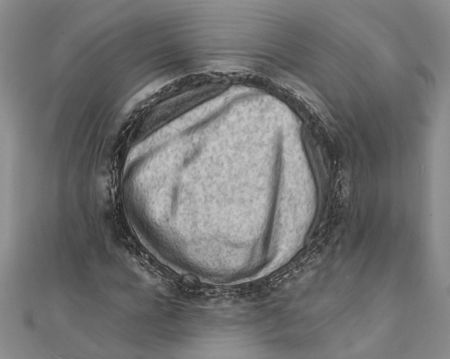 X0000111390920200908071252