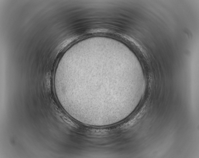 X0000111390921200908071252