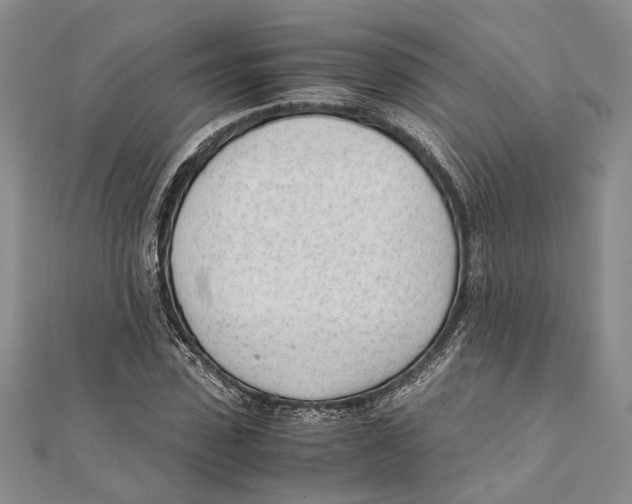 X0000111390923200908071252