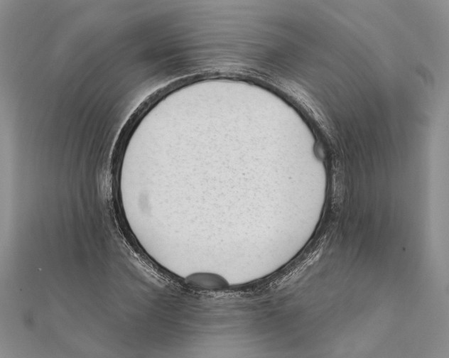 X0000111390924200908071252