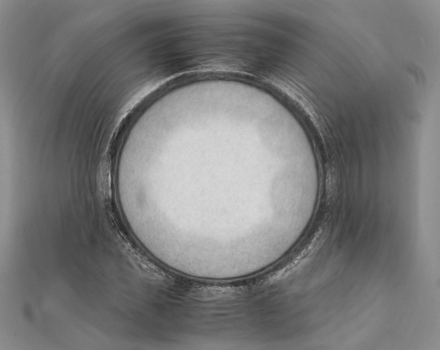 X0000111390925200908071252