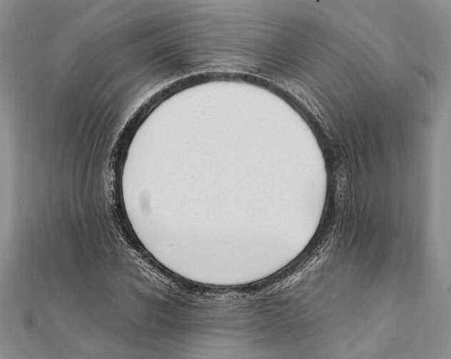 X0000111390926200908071252