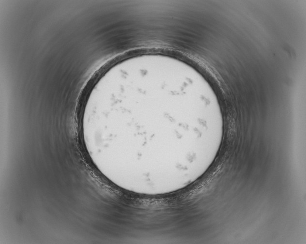 X0000111390927200908071252
