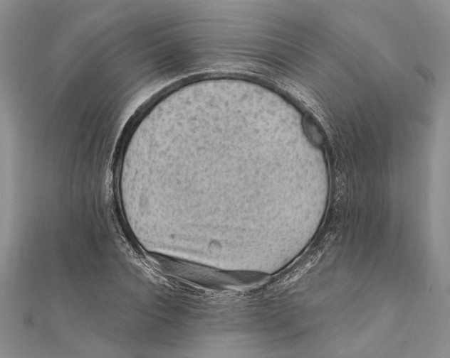 X0000111390928200908071252