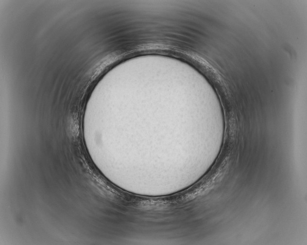X0000111390929200908071252