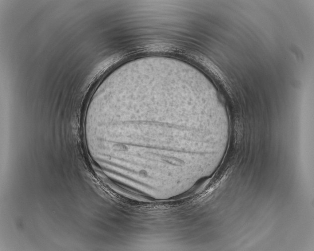 X0000111390930200908071252