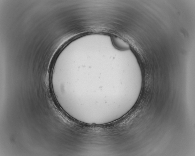 X0000111390932200908071252