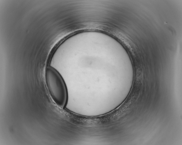 X0000111390936200908071252