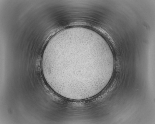 X0000111390937200908071252