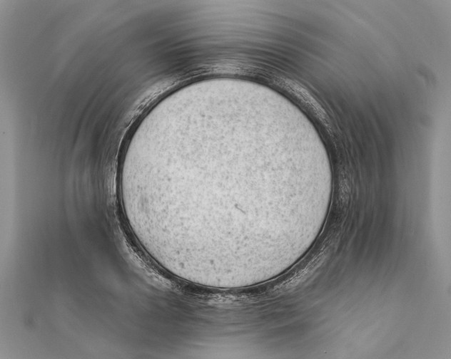 X0000111390938200908071252