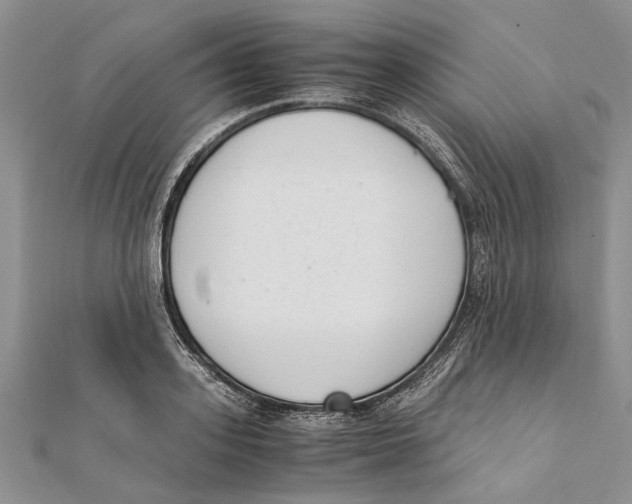 X0000111390939200908071252