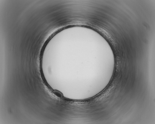 X0000111390942200908071253