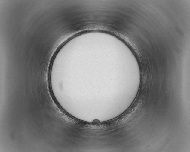 X0000111390943200908071253