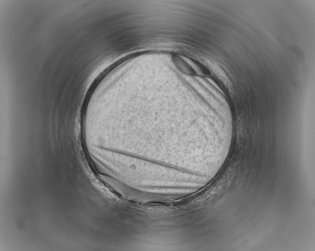 X0000111390944200908071253