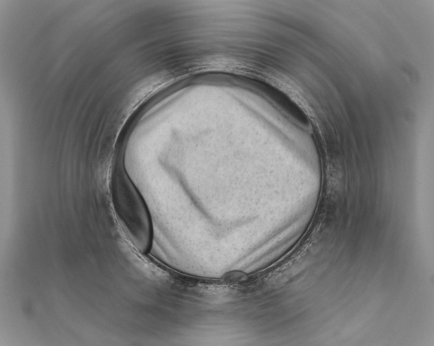 X0000111390946200908071253