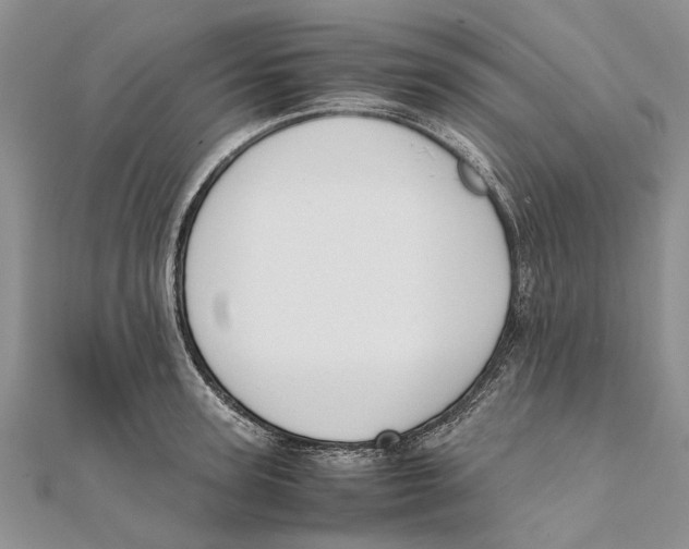 X0000111390947200908071253