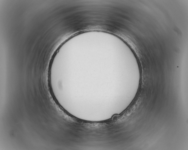 X0000111390949200908071253
