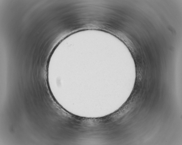 X0000111390950200908071253
