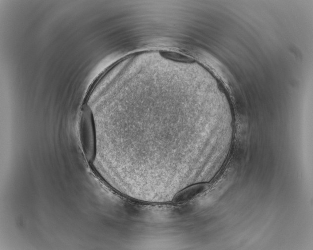 X0000111390952200908071253