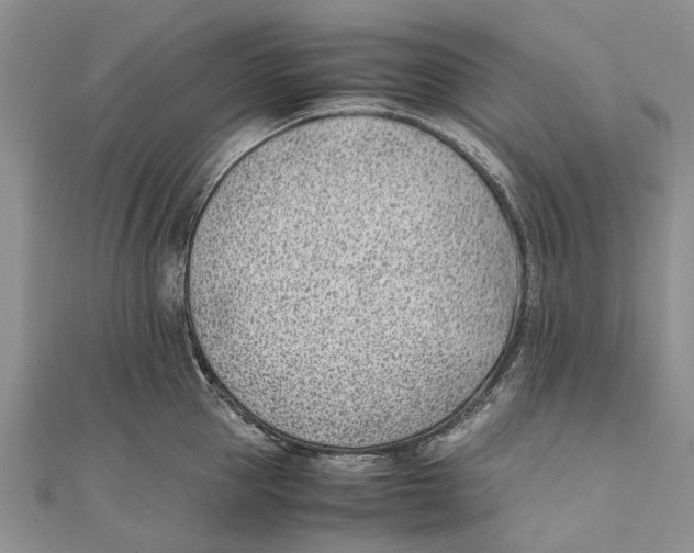 X0000111390953200908071253