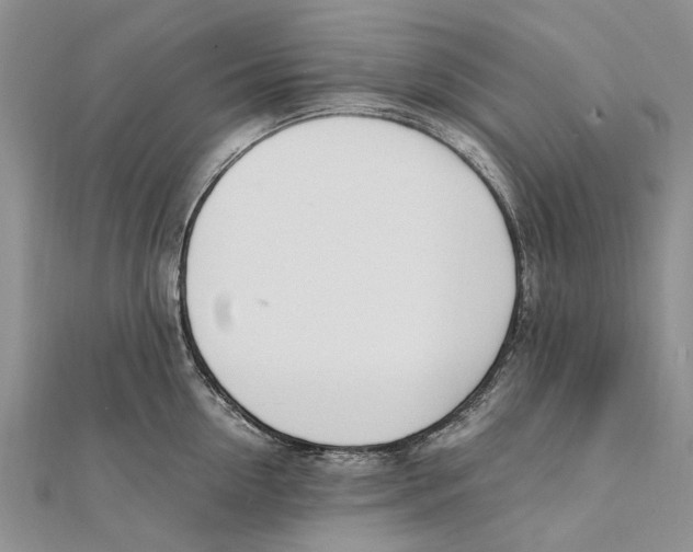 X0000111390954200908071253